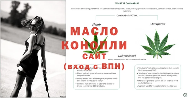 эйфоретик Осинники