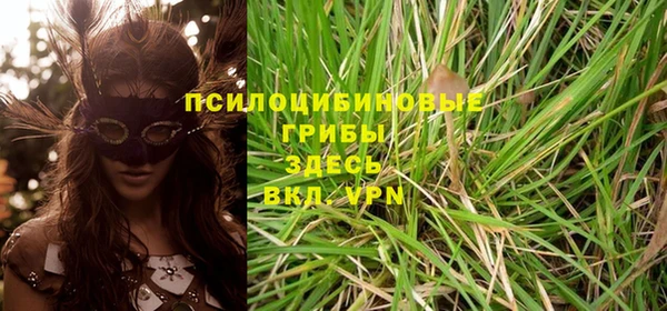 эйфоретик Осинники