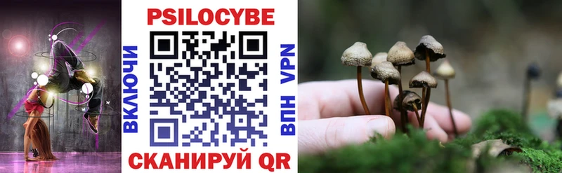 Псилоцибиновые грибы прущие грибы Кущёвская