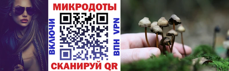 hydra ссылка  Кущёвская  Псилоцибиновые грибы ЛСД  купить  сайты 